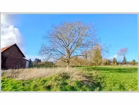 vente terrain 1500 m² à bienvillers-au-bois (62111)  45 900 €