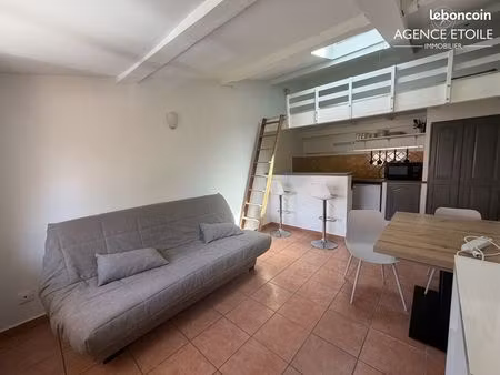 studio 1 pièce 20 m²