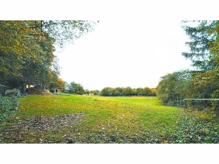 vente terrain 6502 m² à montigny (18250)  8 000 €