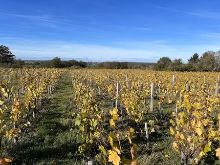 vente terrain 8730 m² à châteaumeillant (18370)  18 203 €