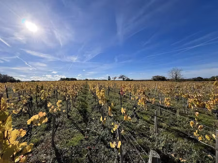vente terrain 14970 m² à châteaumeillant (18370)  24 398 €