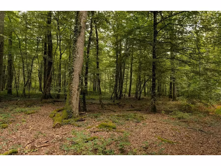 vente terrain 90520 m² à presly (18380)  22 416 €