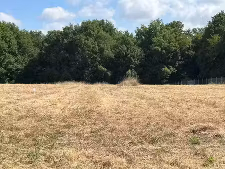 vente terrain 360 m² à saint-césaire (17770)  28 800 €