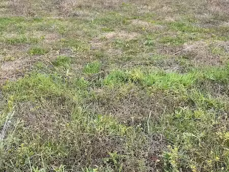 vente terrain 2090 m² à ars (16130)  29 900 €