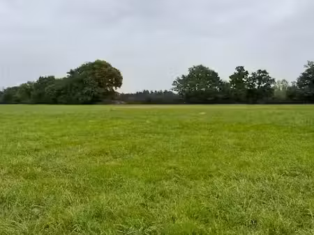 vente terrain 424 m² à saint-germain-du-corbéis (61000)  48 800 €