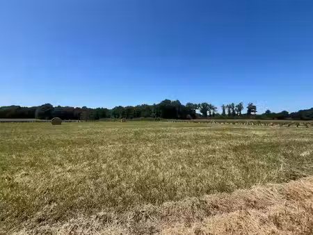 vente terrain 1090 m² à chérac (17610)  38 150 €