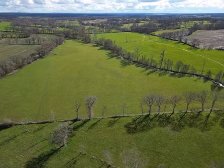 vente terrain 72960 m² à lys-saint-georges (36230)  38 500 €