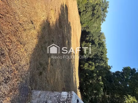 vente terrain à batir 4812 m² à monestiés (81640)  35 000 €