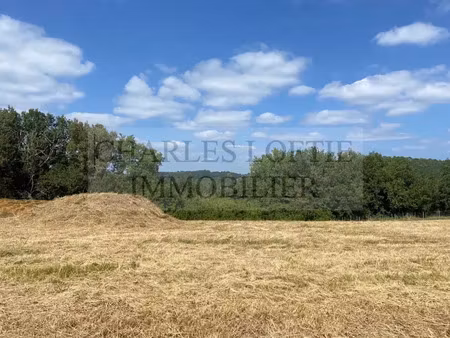 vente terrain à batir 2121 m² à puy-l'evêque (46700)  39 000 €
