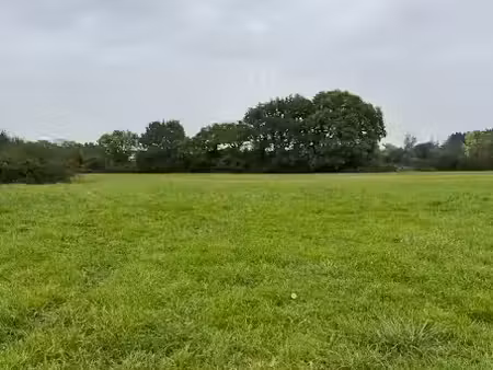 vente terrain 564 m² à saint-germain-du-corbéis (61000)  54 600 €