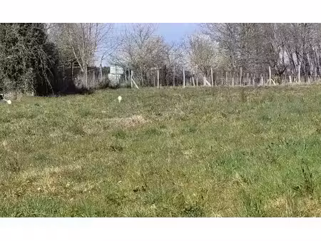 vente terrain 548 m² à saint-césaire (17770)  43 840 €