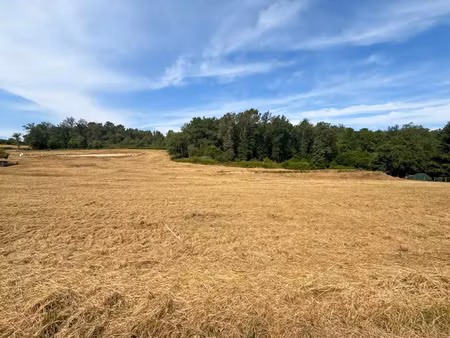 vente terrain à batir 1393 m² à sanilhac (24660)  45 000 €