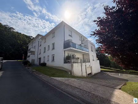 rouen saint-hilaire - f2 avec terrasse  parking et locataire en place