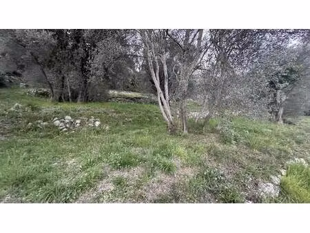 terrain de loisirs