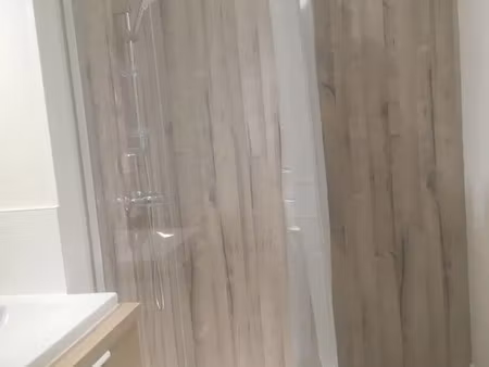 location appartement 4 pièces 69 m² à lyon 7 (69007)