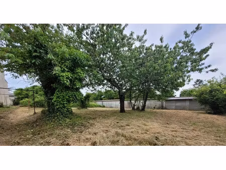 vente terrain 590 m² à cognac (16100)  65 000 €