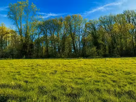 vente terrain 1000 m² à trélissac (24750)  65 000 €