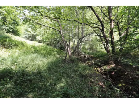 vente terrain 5402 m² à linthal (68610)  130 000 €