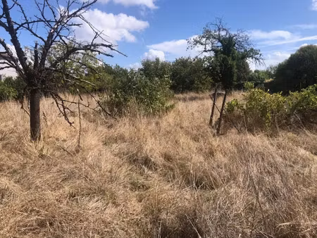 vente terrain 1025 m² à cognac (16100)  69 100 €