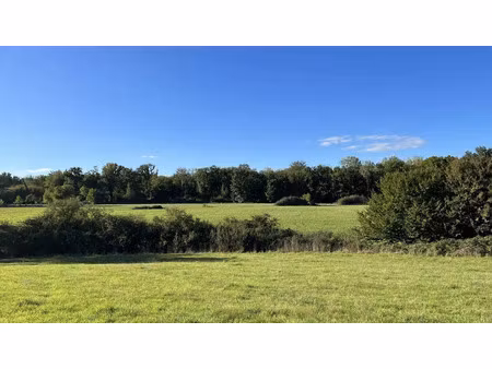 vente terrain 178738 m² à jouet-sur-l'aubois (18320)  71 500 €