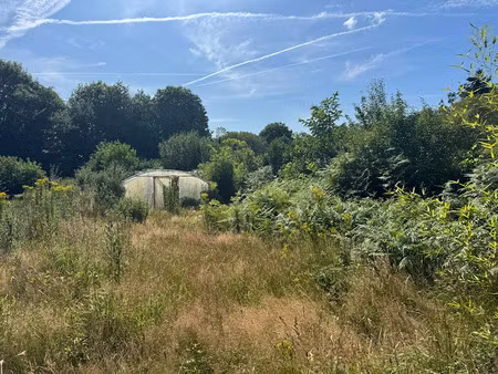 vente terrain 1000 m² à camors (56330)  97 280 €