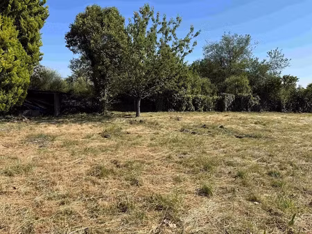 vente terrain 1101 m² à châteaubernard (16100)  80 000 €