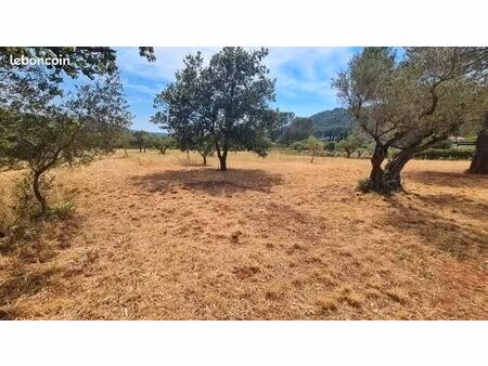 terrain 3 625 m² cuers