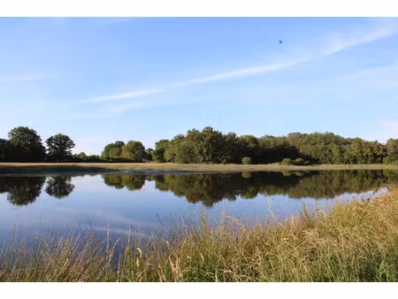 vente terrain 85248 m² à rosnay (36300)  105 000 €