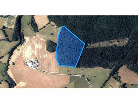 vente terrain 116478 m² à neuvy-saint-sépulchre (36230)  140 800 €