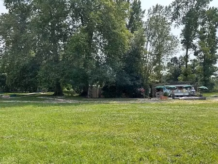 vente terrain à batir 34265 m² à saint-ciers-du-taillon (17240)  178 000 €