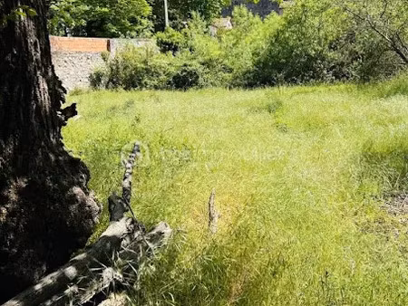 vente terrain 2020 m² à bédarieux (34600)  195 000 €