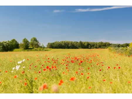 vente terrain 785 m² à le porge (33680)  199 000 €