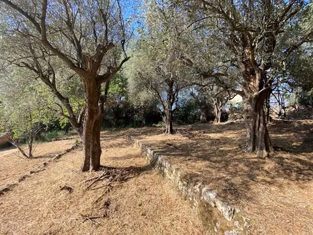 vente terrain 850 m² à grasse (06130)  235 000 €