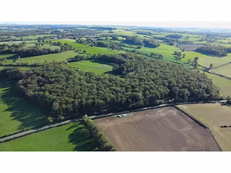 vente terrain 140000 m² à subligny (18260)  236 500 €