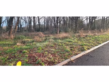 vente terrain 760 m² à lège-cap-ferret (33950)  295 000 €