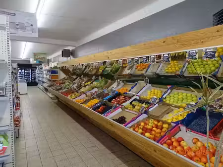 vente locaux professionnels 400 m² à corlay (22320)  99 700 €