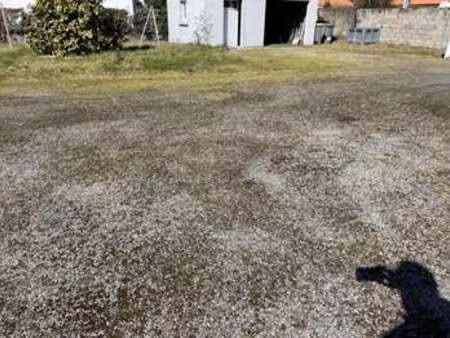 vente terrain à geneston (44140) : à vendre / 555m² geneston