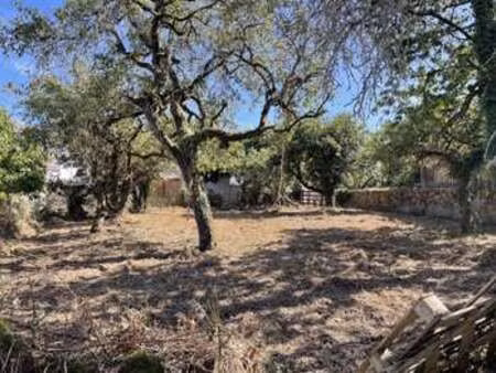 vente terrain à saint-brevin-les-pins (44250) : à vendre / 338m² saint-brevin-les-pins