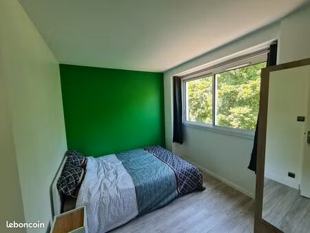 chambre meublée université lyon 1