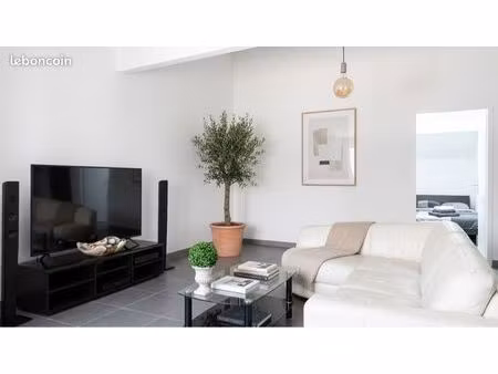 t3 meublé 70 m² – grand séjour 40 m² – climatisation – centre sain-bel