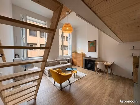 magnifique duplex croix rousse refait à neuf