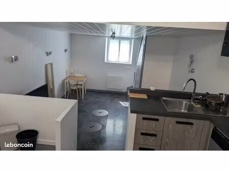 rare maisonette 38m2 meublée jardin lyon 7 gerland artillerie