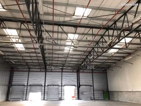 local logistique 556 m²