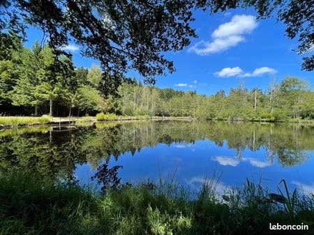 etang avec forêt