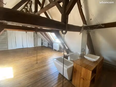 appartement hyper centre climatisé