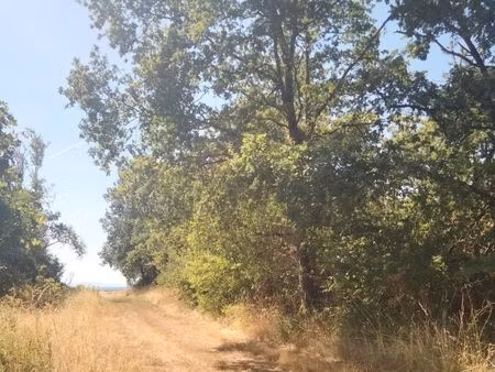recherche terrain boisé