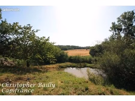 terrain 2 339 m² saint leger sur vouzance