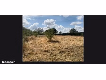 terrain constructible 2979m2