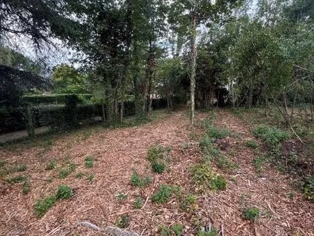 maison 6 pièces 238 m²
