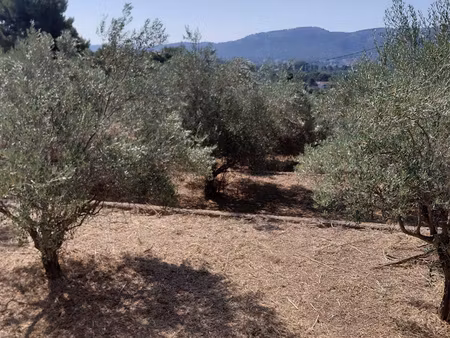 terrain à batir la valentine/golf salette 2000m2